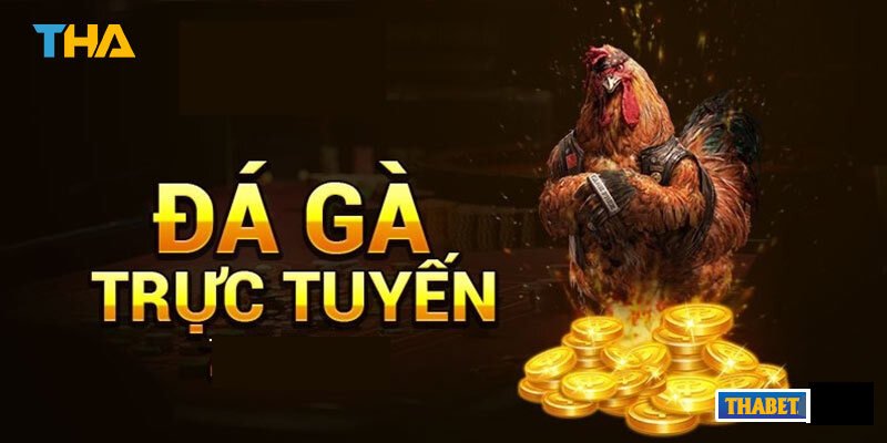 Game đá gà Thabet online là gì?